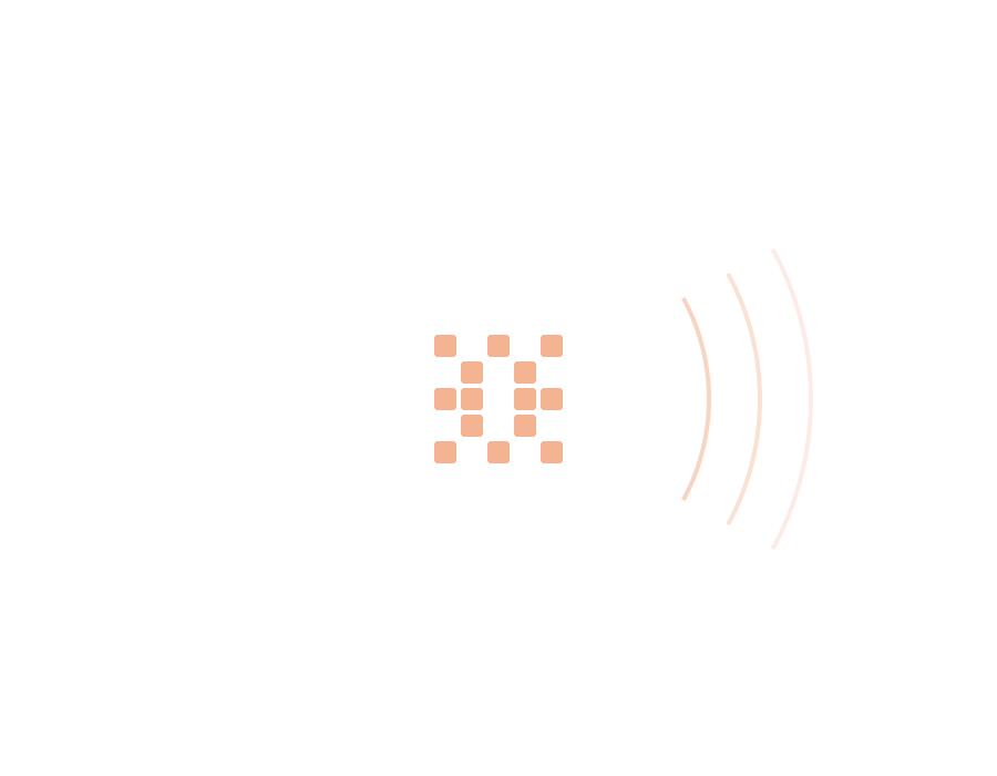 Payer scans and pays